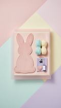 Felt Plushie Kit With Soft Pastels